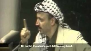 Yasser Arafat  UN Speech 1974 [upl. by Yna]