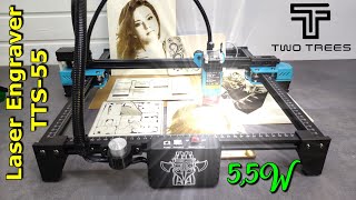 Twotrees TTS55 Laser Engraver with 55 W Optical Output Under 300 unbox assemble and test [upl. by Hannah887]