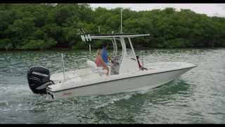 Boston Whaler 240 Dauntless [upl. by Fiel565]