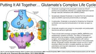 The Role of Glutamatergic Signaling in Major Depressive Disorder [upl. by Ruzich]