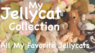 💗My Jellycat Collection All My Favorite Jellycats💗✨Part One of My Jellycat Collection Tour✨ [upl. by Hpsoj152]