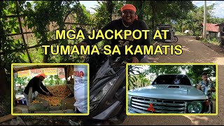 MGA JACKPOT AT TUMAMA SA KAMATIS [upl. by Egief]