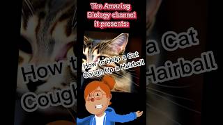 How to Help a Cat Cough Up a Hairball shorts MrOfraio2c [upl. by Siednarb407]