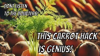 The secret to growing perfect early carrots 🥕 [upl. by Moffitt394]