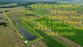 vlog 586 Beautiful RICELAND and Farmlot wfruit bearing treeswith 4 small and 2 Big Fishponds [upl. by Weinhardt]