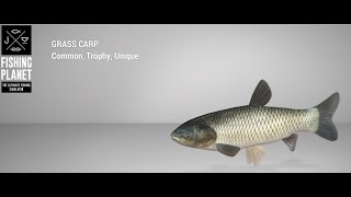 Fishing Planet  Weeping Willow Fisheries  Unique  Grass Carp  Bottom [upl. by Aurlie211]