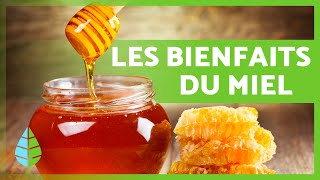 8 BIENFAITS incroyables du MIEL 🍯✅ Quels sont les bienfaits du miel [upl. by Kind]