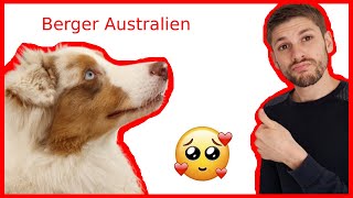 Tout savoir  Berger australien [upl. by Grosz]