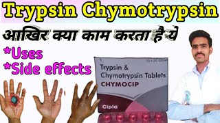 trypsin chymotrypsin tablet uses in hindi  trypsin bromelain rutoside trihydrate tablets  Trypsin [upl. by Artekal802]