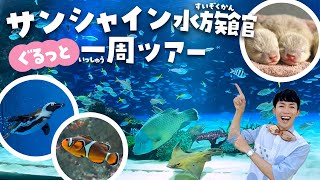 空飛ぶペンギンに会える！サンシャイン水族館行く前に見て！楽しすぎる徹底解説ツアー（sunshine aquarium tokyo） [upl. by Aiva39]