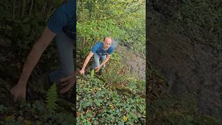 Lateral River Erosion rivers permaculture geography nature adventure explore outdoors forest [upl. by Ayanal864]