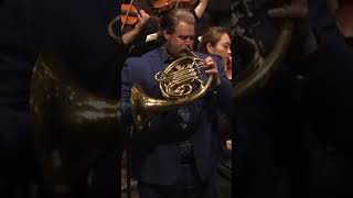 The grand finale Full performance below frenchhorn JohnTurman music [upl. by Iveel]