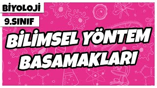 9 Sınıf Biyoloji  Bilimsel Yöntem Basamakları [upl. by Hebbe]