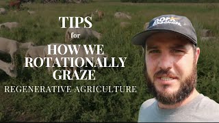 Management Tips for Regenerative Grazing [upl. by Akima]