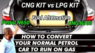 CNG VS LPG Kits  Convert your Petrol Car to Gas [upl. by Ayekam491]