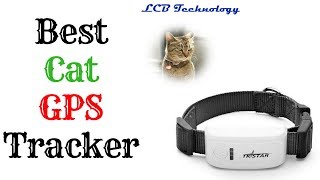 Best Cat GPS Tracker 2019 [upl. by Atwater]