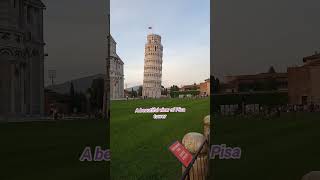 A beautiful view of Pisa tower Italy rome italy pisatower [upl. by Mathre]