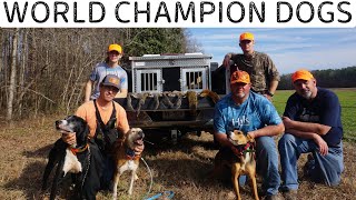 World Champion Squirrel Dog Hunt  Squirrel Hunting  APS Episode 28 [upl. by Sirdna]