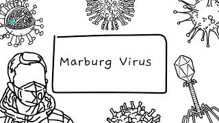 Marburg Virus UPSC CIVIL SERVICES PRELIMS 2025IAS upsc ias currentaffairs civilservices [upl. by Ennoitna]