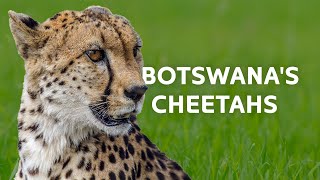 2 Hours Exploring Botswanas Untouched Kingdom  Wildlife Documentary [upl. by Beret]