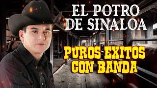 EL POTRO DE SINALOA MIX CORRIDOS PURSO EXITOS PERRONES [upl. by Nomael]