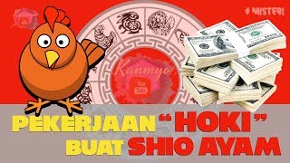 Pekerjaan HOKI SHIO AYAM  RAMALAN PERUNTUNGAN Shio AYAM dalam PEKERJAAN atau BISNIS yang HOKI [upl. by Daukas226]