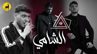 كوكتيل أغاني الشامي Al shami mix  2025 [upl. by Stewardson533]