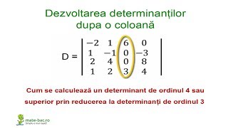 Dezvoltarea determinantilor dupa o coloană  Algebra cls a 11a [upl. by Broida]