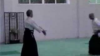 Kitaura Sensei Aikido Course Spain 2005 [upl. by Alliuqahs209]