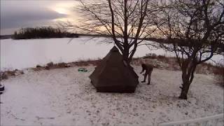 Testing my MilTec Hot Tent and Ammo Can Stove [upl. by Theodor]