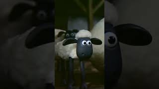 Shaun the Sheep🐑 [upl. by Pigeon806]