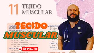 Capítulo 11 Tecido Muscular  Aula Teórica [upl. by Ttik415]