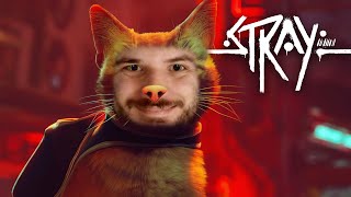 O JOGO DO GATO QUE TÁ TODO MUNDO JOGANDO  Stray [upl. by Casanova]