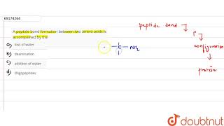 A peptide bond formation between two amino acids is accompained by the [upl. by Patrizius]