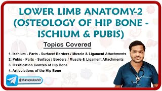 🦴 Hip Bone Osteology Ischium amp Pubis🕳️🔍 [upl. by Sadnac52]