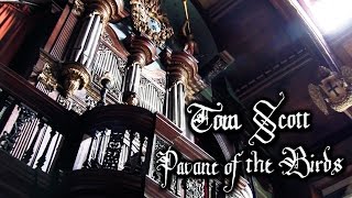 PAVANE OF THE BIRDS  TOM SCOTT The Organ of Adlington Hall [upl. by Munmro]