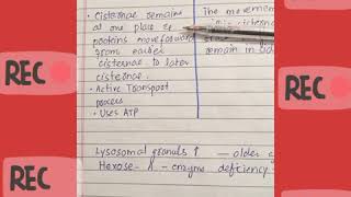 Vesicular transport VS Cisternal maturation model [upl. by Fasto227]