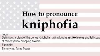 How to pronounce kniphofia  meaning [upl. by Imailiv]