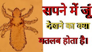 सपने में जूं देखना। lice dream meaning lice dream meaning in Hindi [upl. by Hukill]