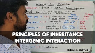 Intergenic interaction  Genetics  Senthilnathan [upl. by Enortna]