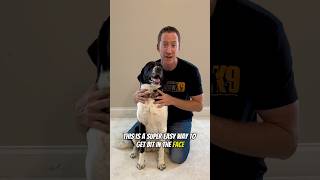 The BEST Way To Trim A Dog’s Nails dogtraining [upl. by Elletnwahs]