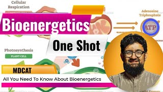 Bioenergetics  One Shot Video [upl. by Seys456]