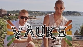 Manche Feat Vauks  Explozija HD Video [upl. by Assilram]