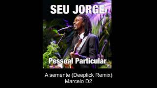 Seu Jorge  Pessoal Particular DeepLick Remix [upl. by Nnarefinnej75]