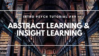 Abstract Learning amp Insight Learning Intro Psych Tutorial 69 [upl. by Kleeman]