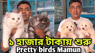 Katabon animal market BangladeshPersian CatMixed breed CatGerman Spitz puppyDog amp Cat price 2024 [upl. by Alemac]