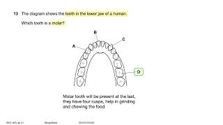 061021ON23  0610w23qp21  2023OctoberNovember IGCSE Biology MCQ Past Paper solving [upl. by Redwine]