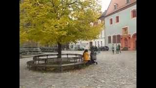 Жизнь в Германии Meißen Albrechtburg Dom Площадь [upl. by Seward738]