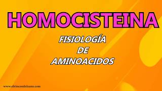 Homocisteina  Fisiologia de aminoacidos [upl. by Ignacia]