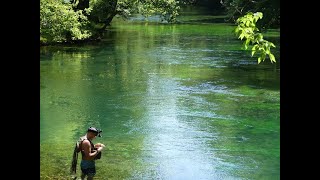 Au fil de la Sorgue en nymphe à vue [upl. by Nunciata699]